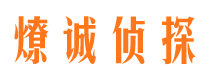 郏县调查取证